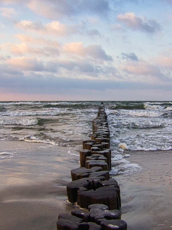 Services at Life Balance Councelling